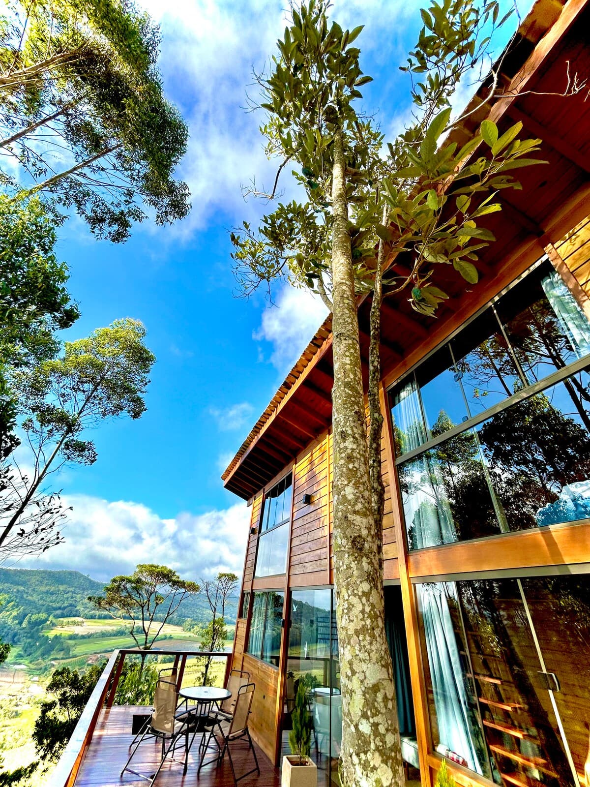 A árvore que atravessa o deck da casa